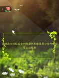 江西农大市联谊会到柴