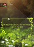 赣皖鄂奥的妈祖代表来