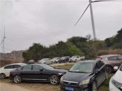 九江市花打人玉石研究