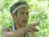 少共国际师