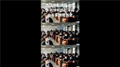 视频展示