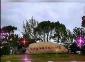 视频展示