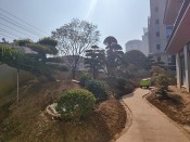 中瀚书院高档小区的雪