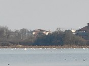 12-20日九江市专