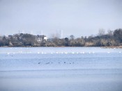 12-20日九江市专